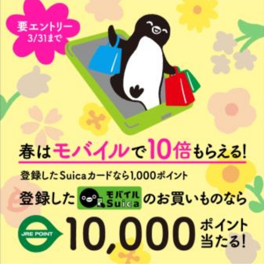 1000054737.jpg