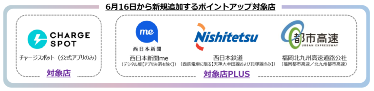pasted_image
